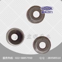 气门油封 型号T725140001
