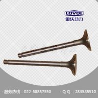 进气门 型号T3142L072
