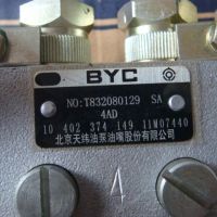T832080129 喷油泵   