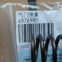 4976980   气门弹簧  
