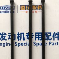 T31434307   挺柱   